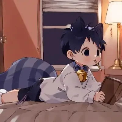 Enzo老师