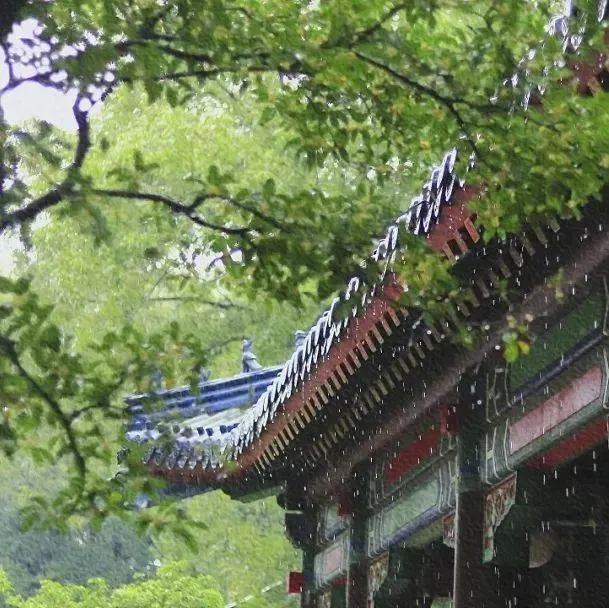 Martin老师